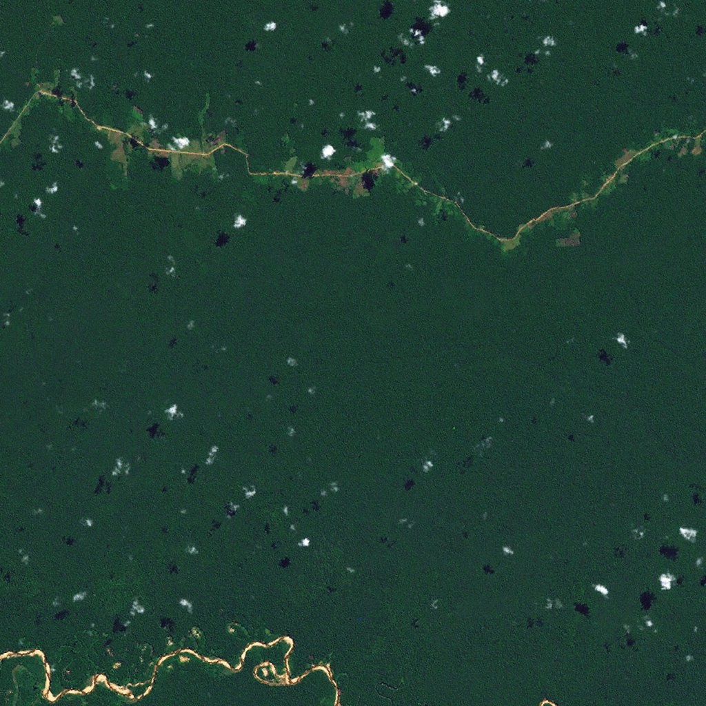 La Pampa, Peru, 2014: intact rainforest
