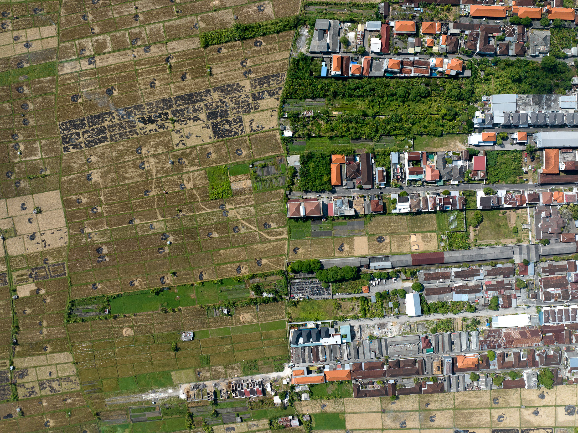 Rice paddies meeting dense development in Bali, from the air